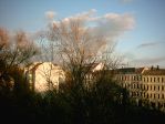 herbst